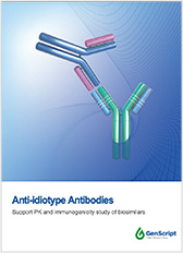 Anti-idiotype Antibodies