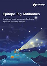 Epitope Tag Antibodies