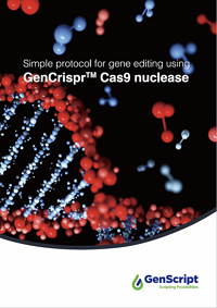Cas9 and sgRNA Protocol