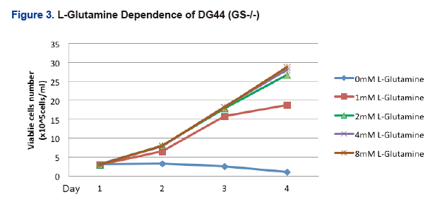 L-Glutamine Dependence of DG44(GS-/-)