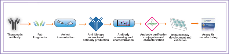 Immunoassay Development Service for Therapeutic Antibody Detection