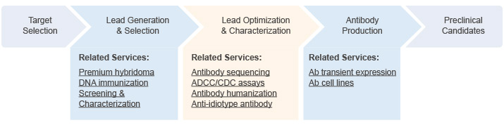 Therapeutic Antibody Discovery Services
