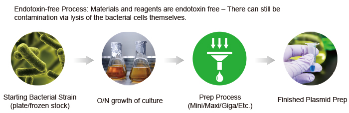 Endotoxin-Free Process