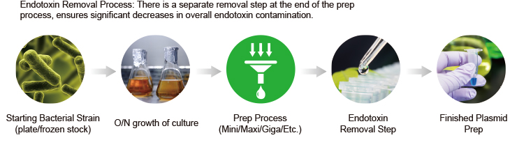 Endotoxin Removal Process