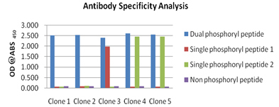 MonoExpress™ Protocol antibody specificity analysis