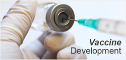 Vaccine Development