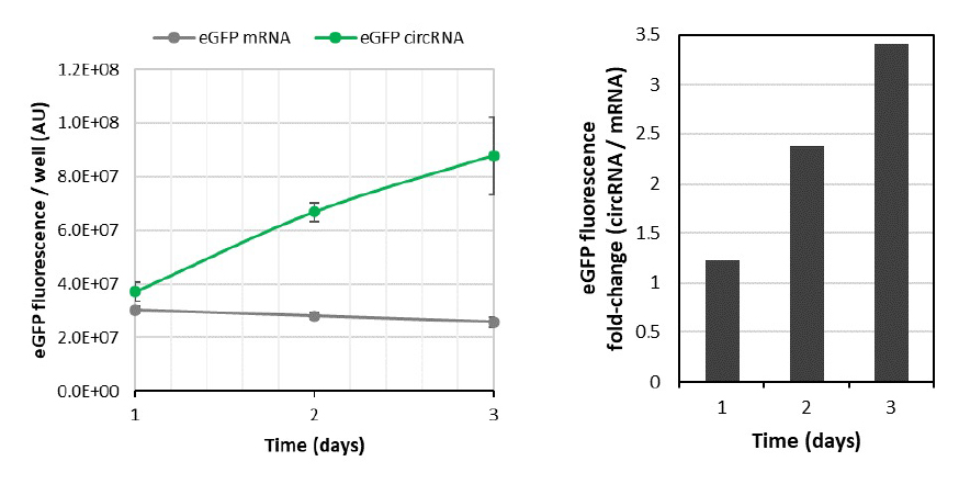 蛍光強度によるRNA発現レベル