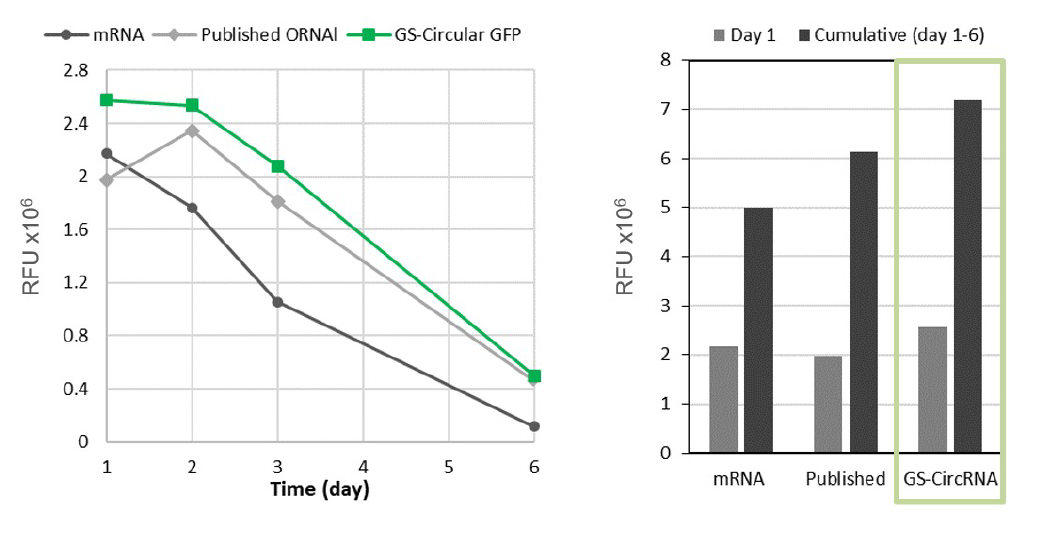 ジェンスクリプトの環状RNAは、公開されている方法に比べ高い発現を示す