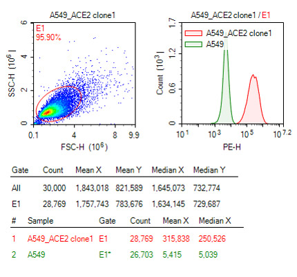 Anti-Flag  antibody to detect ACE2-Flag