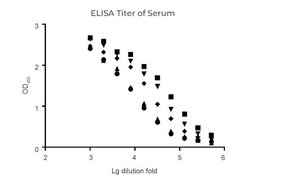 ELISA Titer of Serum