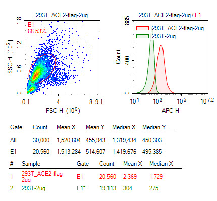 S protein to detect ACE2-Flag