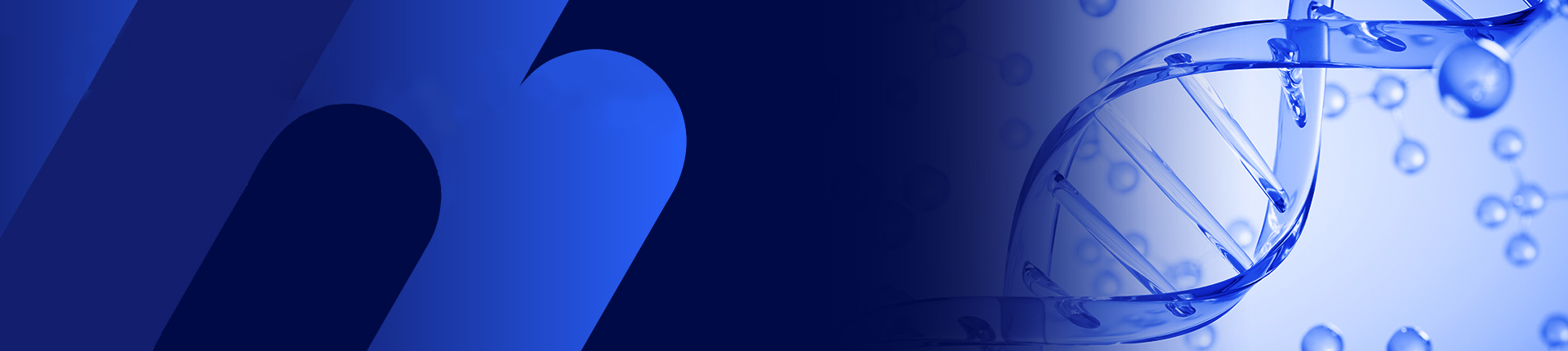 AAV ITR保証サービス より改善したITRの完全性 より厳格な品質管理