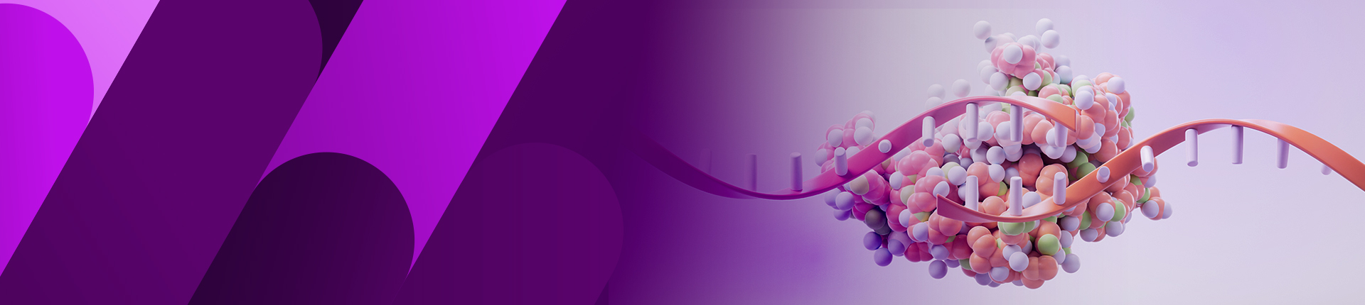 BacPower™ カスタムサービス