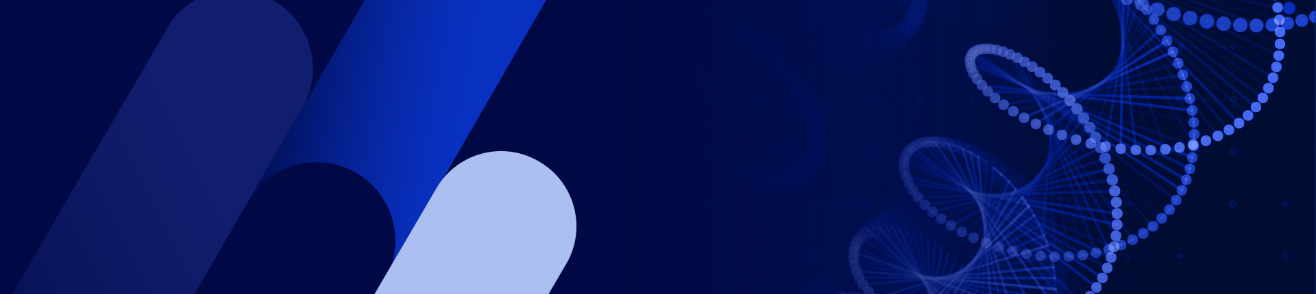 カスタムベクター構築サービス