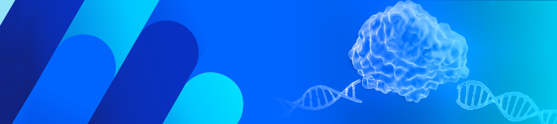 GenCRISPR™ gRNA/Cas9プラスミド