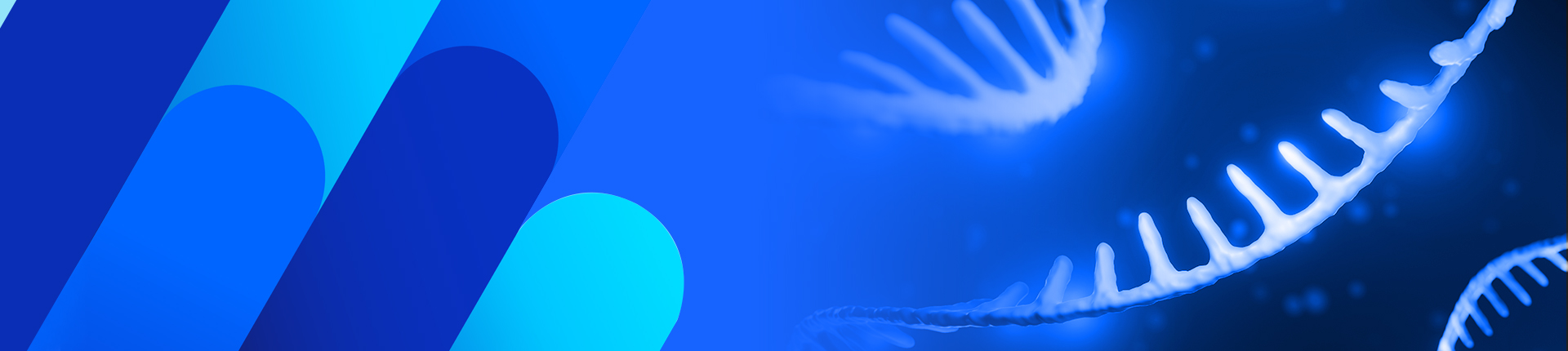 ジェンスクリプトターゲットエンリッチメントソリューション