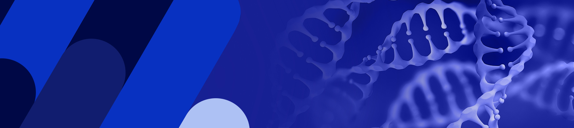 変異遺伝子ライブラリー