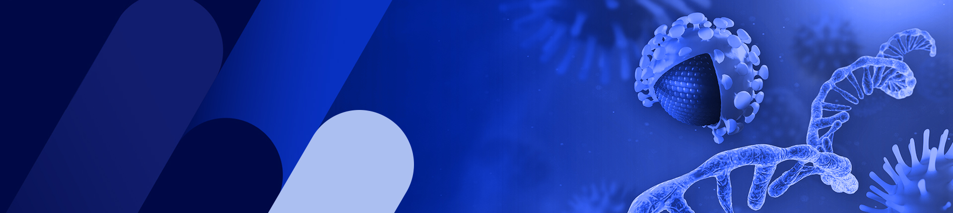 IVT RNA合成サービス