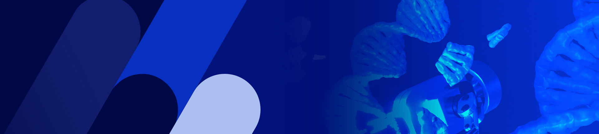 Homo sapiens (human) IGF1R signaling cascade (provided by Reactome)