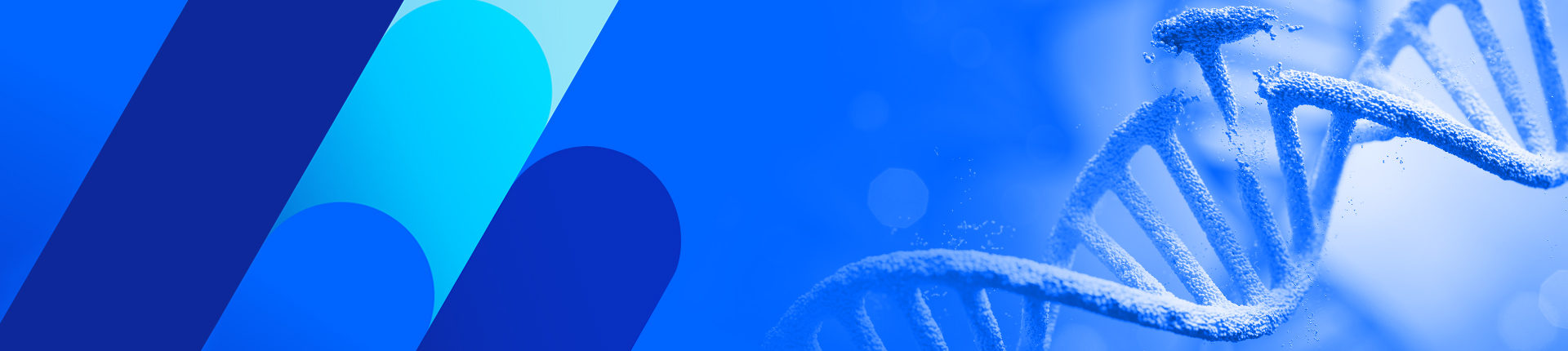 pegRNA(プライム編集ガイドRNA)合成サービス