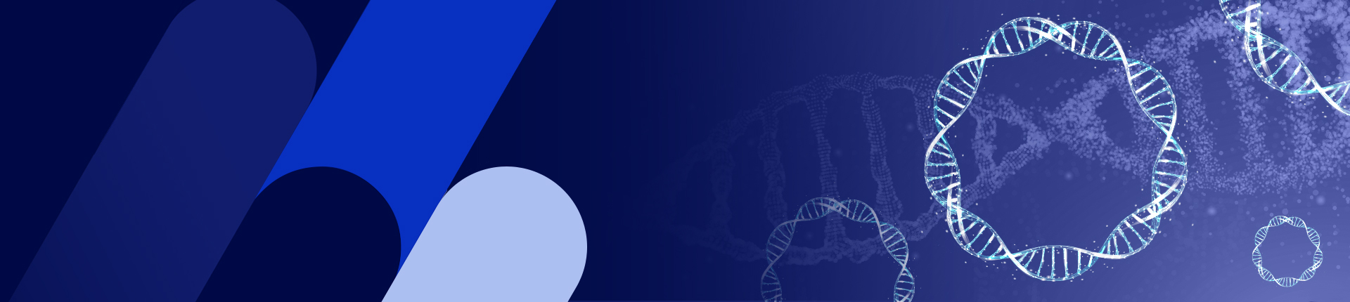 プラスミドDNA調製サービス