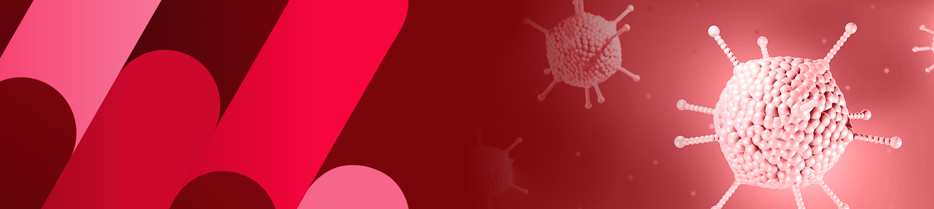 AAVパッケージングサービス