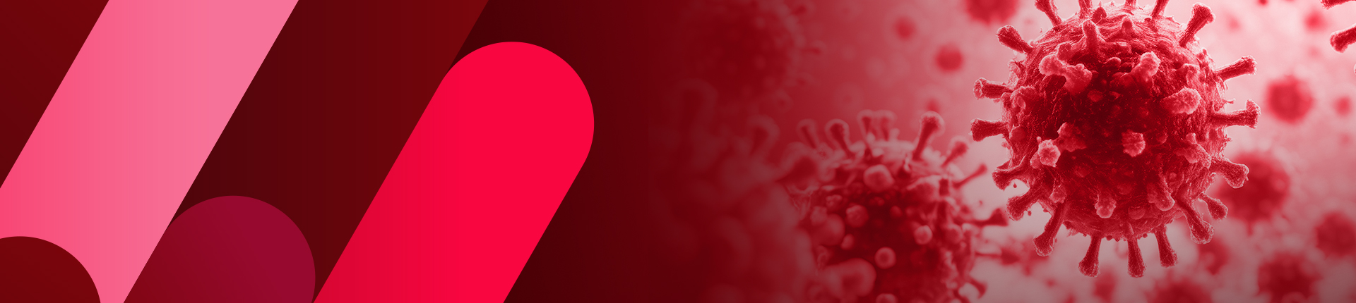 レンチウイルスパッケージング５BD！