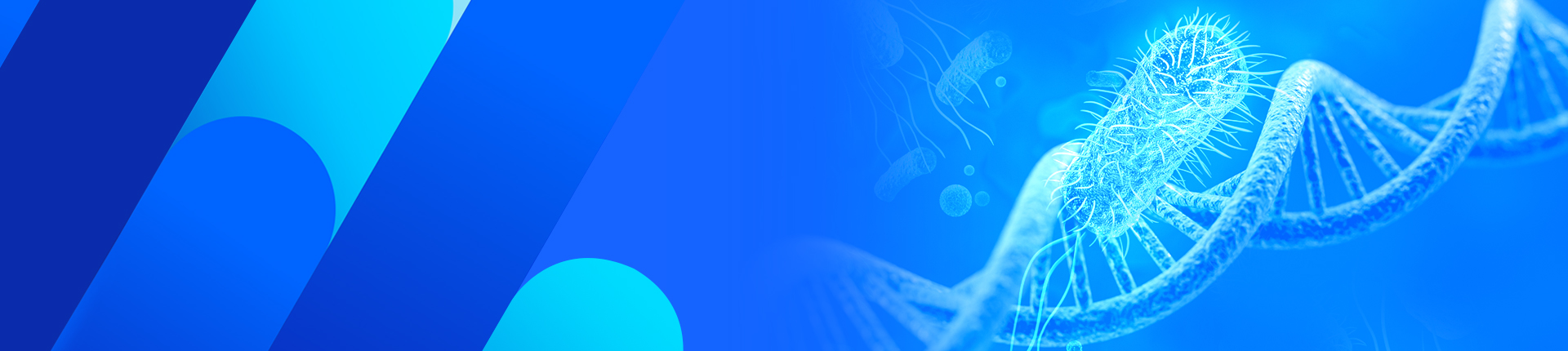 微生物ゲノム編集サービス