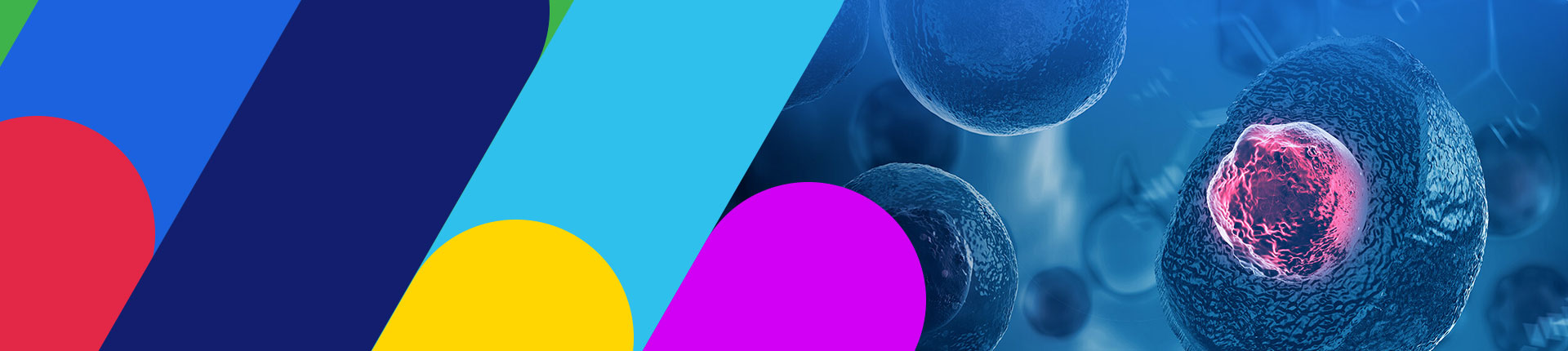 細胞療法ソリューション