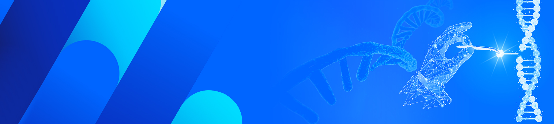 GenExact™ 一本鎖DNA