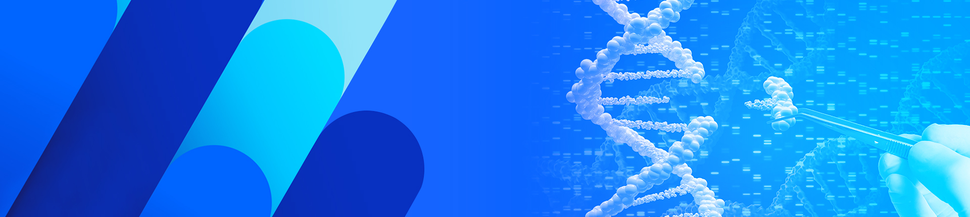 cGMP ssDNA And dsDNA Services Are Here