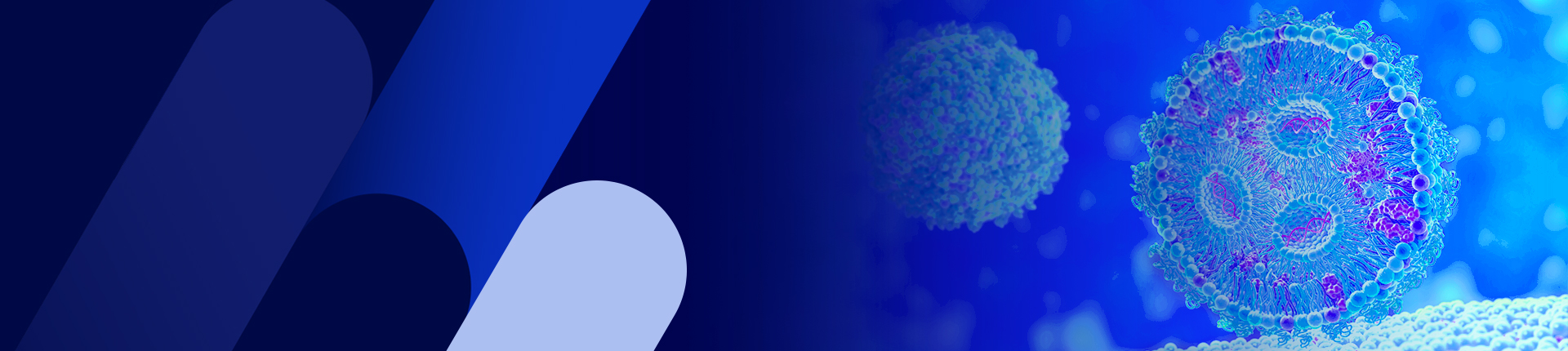 RNAデリバリー用の脂質ナノ粒子パッケージングサービス