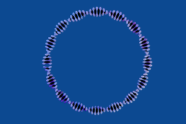 CRISPR/Casプラスミド 