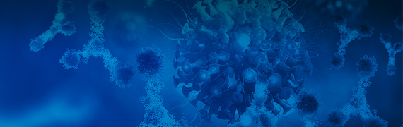 Antibody Discovery Services