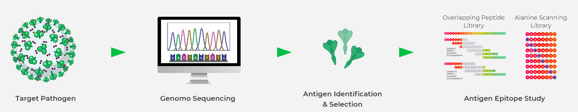 vaccine development solutions