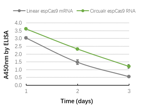 Expression of mCherry mRNA in A549 cells