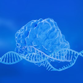 CRISPR sgRNA