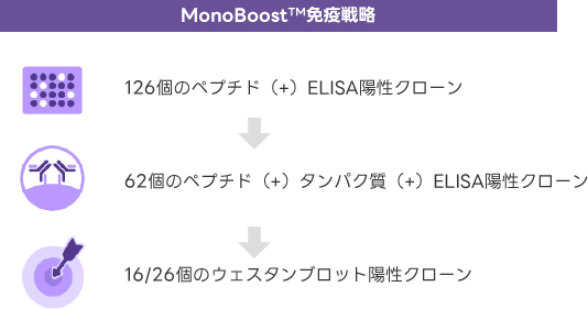 MonoBoost™免疫プロトコル 