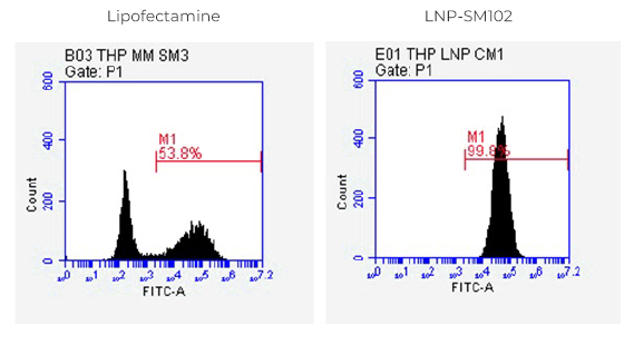 Delivery of eGFP mRNA into THP-1 Cells 