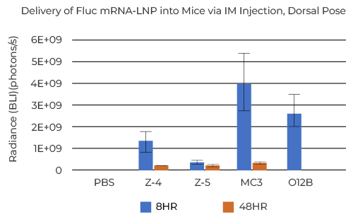 Delivery of Fluc mRNA-LNP into Mice via IM Injection, Dorsal Pose 