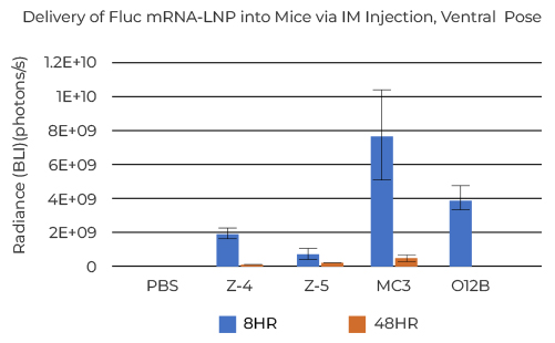 Delivery of Fluc mRNA-LNP into Mice via IM Injection, Ventral  Pose  
