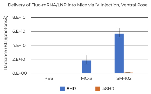 Delivery of Fluc-mRNA/LNP into Mice via iV Injection, Ventral Pose 