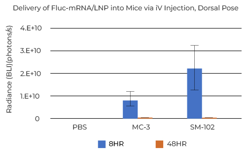 Delivery of Fluc-mRNA/LNP into Mice via iV Injection, Dorsal Pose 
