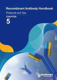 Protocols Tips for Recombinant Antibody Expression