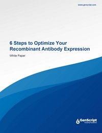 Optimizing Recombinant Antibody Expression