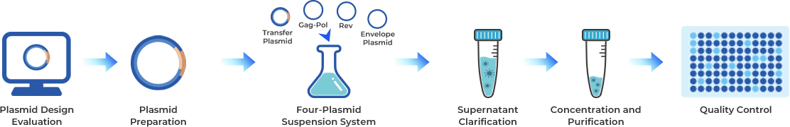 Lentiviral Packaging Workflow