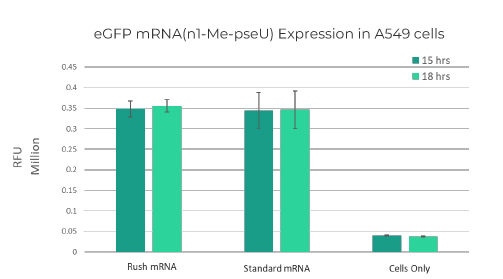 Purity of Regular mRNA – 2.1 kb