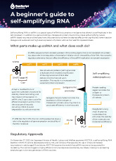 Self-Amplifying RNA Beginner’s Guide_Infographic