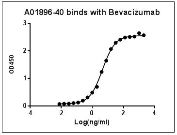 MonoRab™ Anti-Bevacizumab Antibody (46E3)[Biotin], MAb, Rabbit