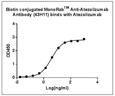 MonoRab™ Anti-Atezolizumab Antibody (43H11)[Biotin], MAb, Rabbit